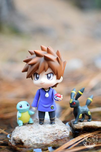 モンコレEx S 口袋妖怪サン&ムーン 月伊贝 