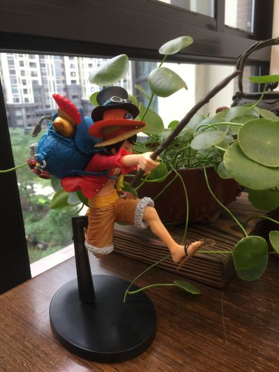 海贼王 蒙奇·D·路飞