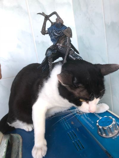 TORUPAKA！黑暗之魂 塑像藏品款式2 