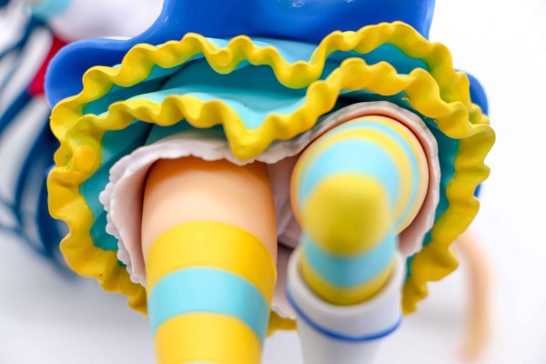 超级景品 Love Live! Sunshine!! 津岛善子 青空Jumping Hear 