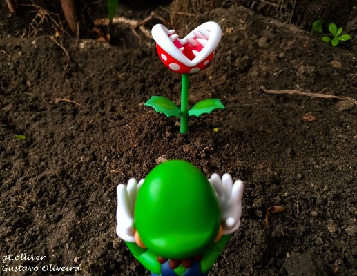 S.H.Figuarts 路易吉