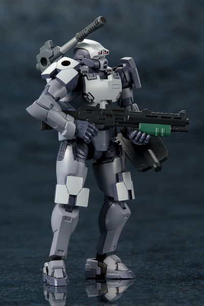 六角机牙 (HG015) Governor Para-Pawn Sentinel