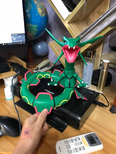 巨型系列 精灵宝可梦 烈空坐