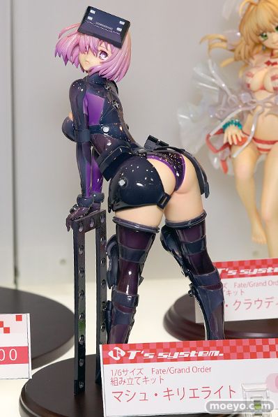 Fate / Grand Order 玛修·加拉哈德