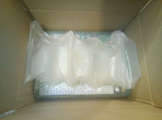 命运-冠位指定 枪兵-清姫