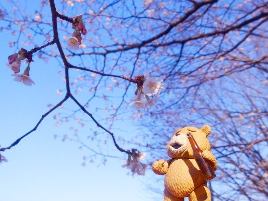 figma #290 テッド 2 テッド 