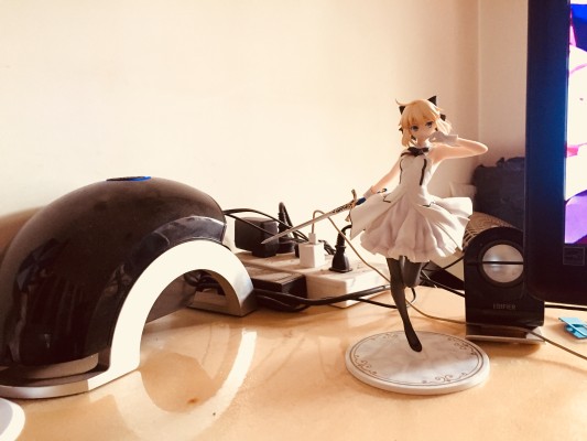 命运-冠位指定 Saber Lily