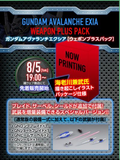 METAL BUILD 机动战士高达00V GN-001/hs-A01 雪崩型能天使高达（武器追加包）