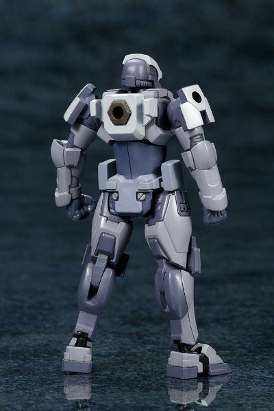 六角机牙 (HG015) Governor Para-Pawn Sentinel