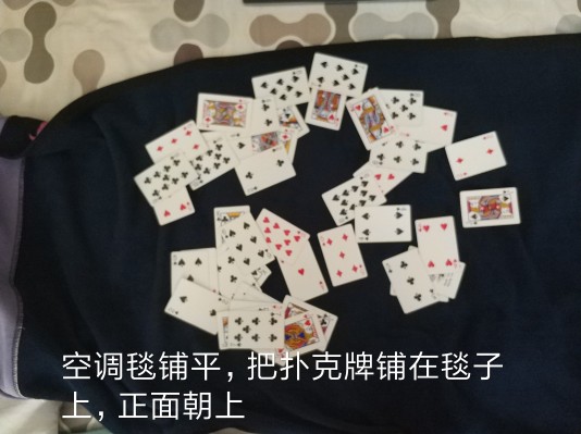 NO GAME NO LIFE 游戏人生 白