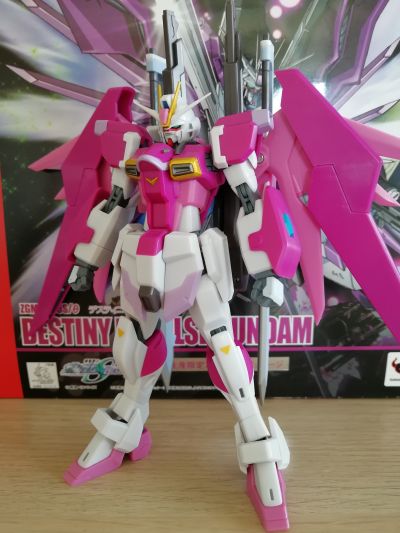 ROBOT魂 〈SIDE MS〉 机动战士高达SEED DESTINY MSV ZGMF-X56S/θ 命运脉冲