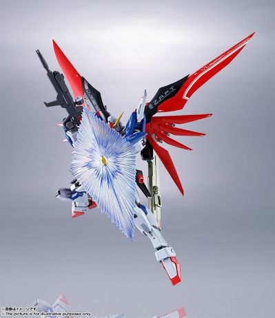 METAL ROBOT魂＜SIDE MS＞ 机动战士高达SEED Destiny ZGMF-X42S 命运高达