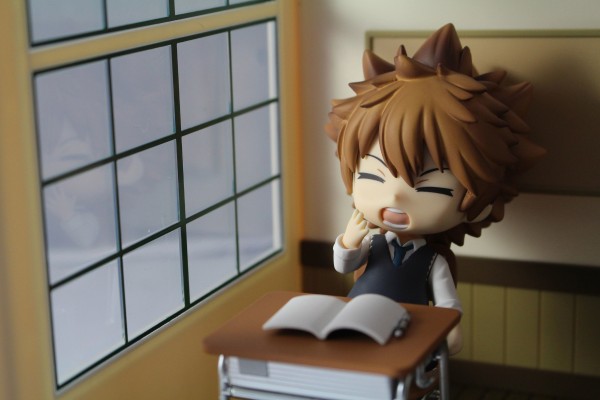 粘土人#912 家庭教师 泽田纲吉