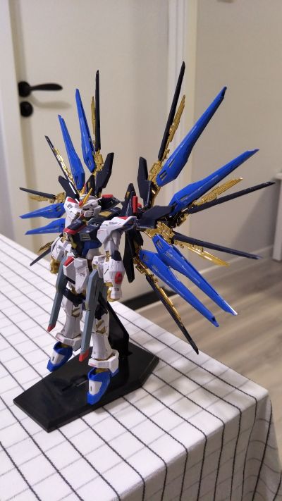 RG 1/144 强袭自由高达