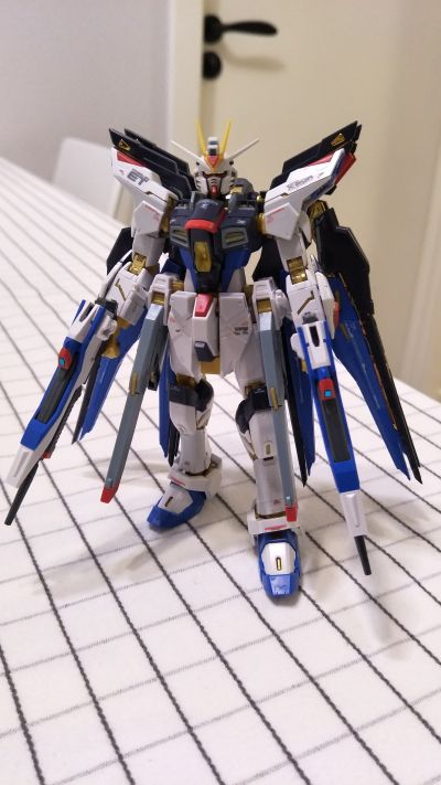 RG 1/144 强袭自由高达