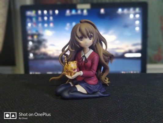 龙与虎 逢坂大河