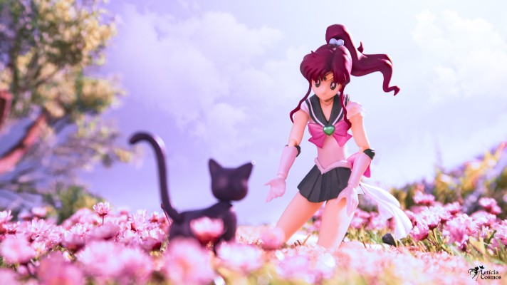 S.H.Figuarts 水兵木星