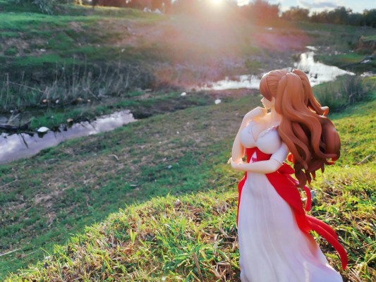 航海王 独特魅力 夏洛特·布琳 特殊配色