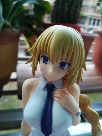 Fate/Apocrypha 贞德  Ruler