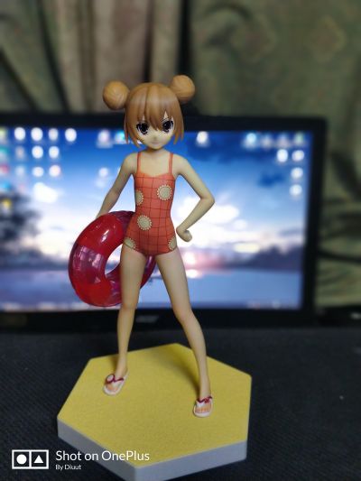 沙滩女王 龙与虎！逢坂大河 泳装Ver.