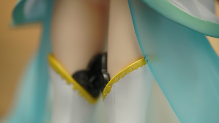 命运-冠位指定 枪兵-清姫