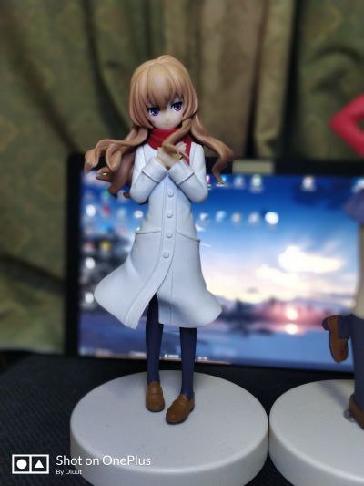 龙与虎 逢坂大河