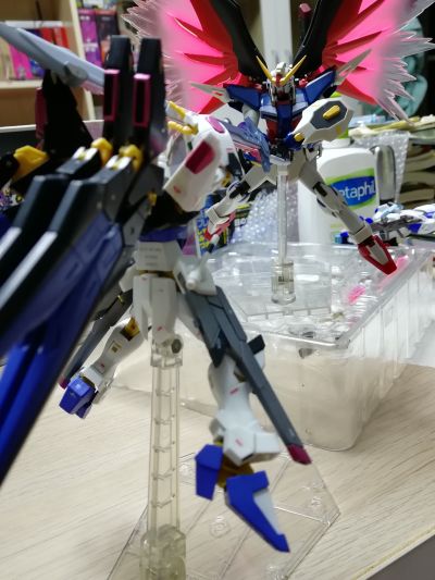 ROBOT魂〈SIDE MS〉机动战士高达SEED DESTINY ZGMF-X42S 命运高达
