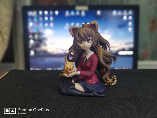 龙与虎 逢坂大河