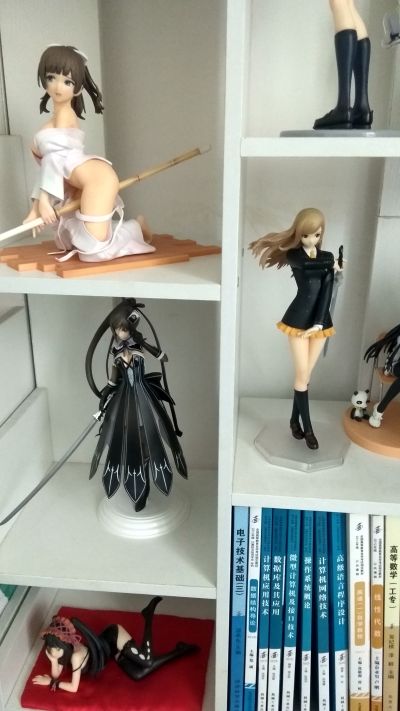 光明之风 吴羽冬华