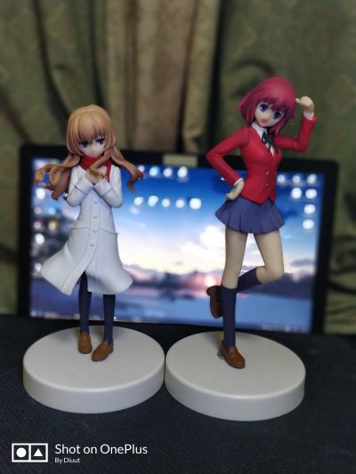 龙与虎 逢坂大河