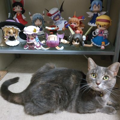 东方软胶 东方Project 帕秋莉・诺蕾姬 Majimaji