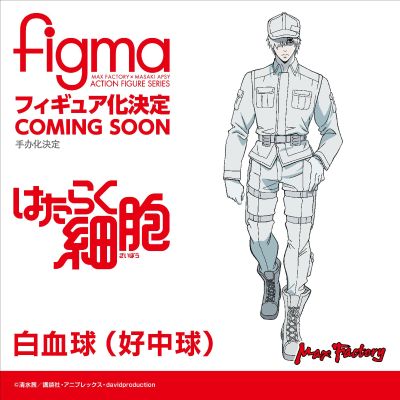 figma#489 工作细胞 白细胞（中性粒细胞）U-1146