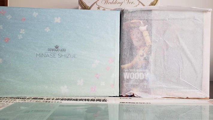 HENTAI ACTION 水无濑静江