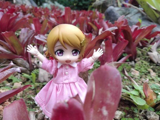 粘土人 #496 LoveLive! 小泉花阳