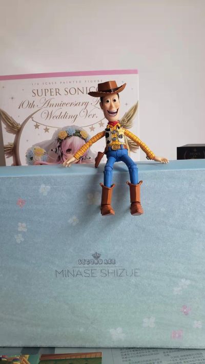 HENTAI ACTION 水无濑静江