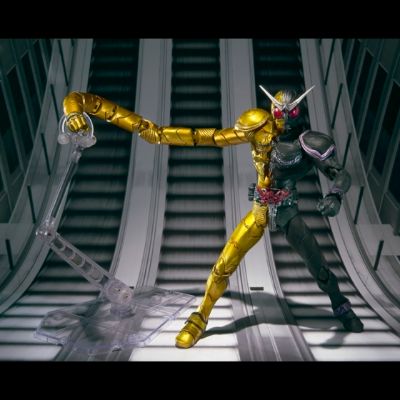 S.I.C. 57  假面骑士双骑 疾风王牌