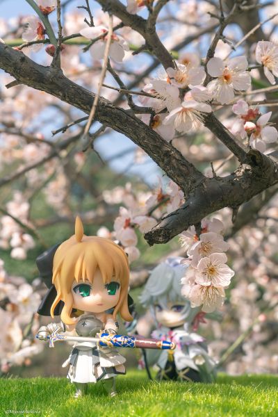 粘土人#970-DX  命运-冠位指定 梅林 花之魔术师