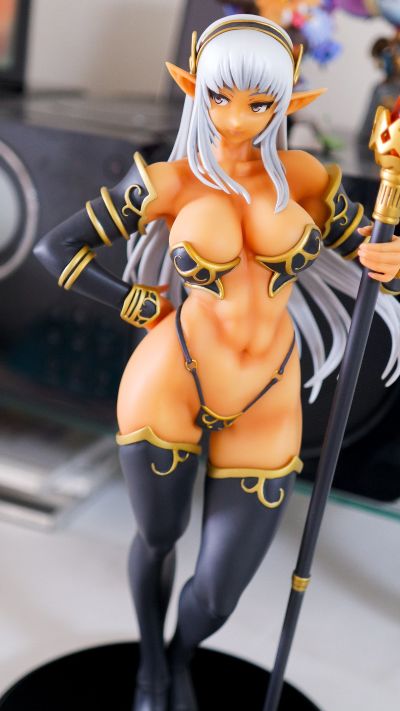 龙之皇冠 黒精灵的魔兽使