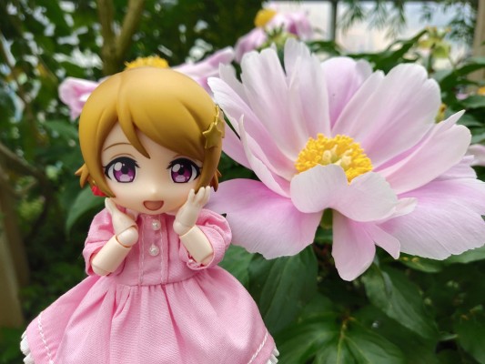 粘土人 #496 LoveLive! 小泉花阳