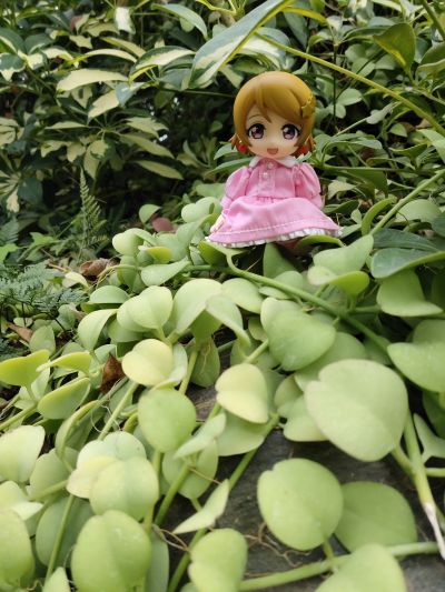 粘土人 #496 LoveLive! 小泉花阳