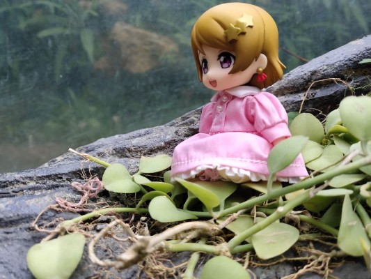 粘土人 #496 LoveLive! 小泉花阳