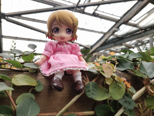 粘土人 #496 LoveLive! 小泉花阳