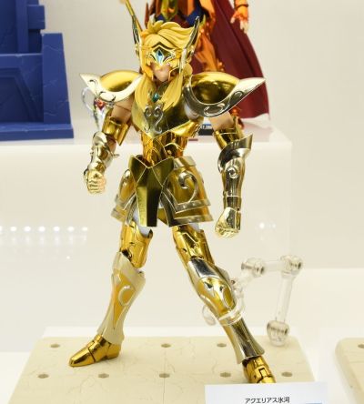 圣斗士圣衣神话EX 圣斗士星矢 水瓶座冰河