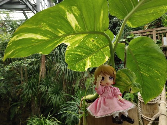 粘土人 #496 LoveLive! 小泉花阳