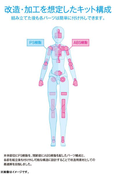 1/12可动人形素体 女性素体（A型）