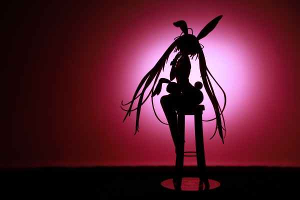 春日野穹兔女郎 散拍