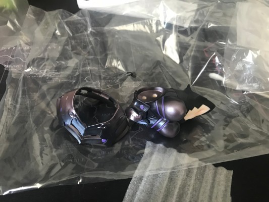 命运-冠位指定 盾兵-玛修·基列莱特 限定版