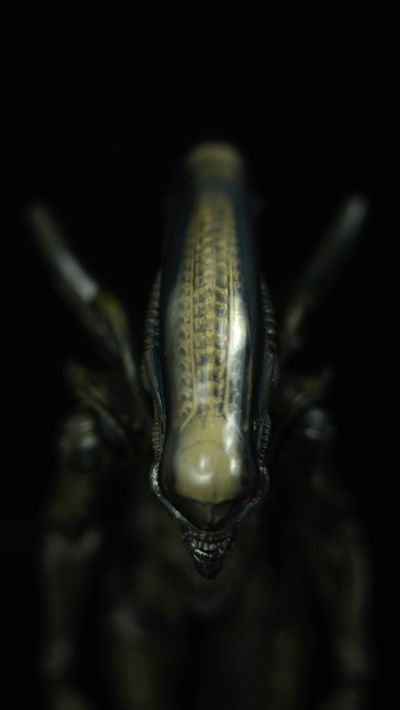 figma#SP-108 异形 竹谷隆之版