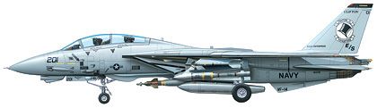 60313 1/32 F-14A 雄猫 “黑骑士”
