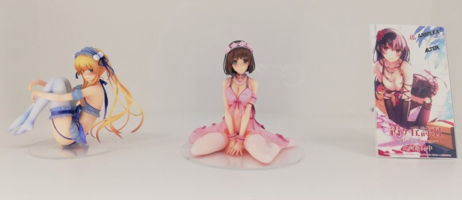 路人女主的养成方法♭ 加藤恵 内衣